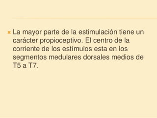 Método o Terapia Vojta