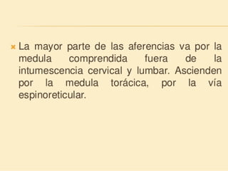 Método o Terapia Vojta