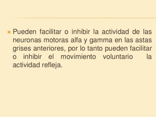 Método o Terapia Vojta