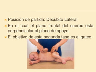 Método o Terapia Vojta