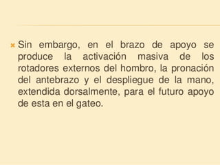 Método o Terapia Vojta