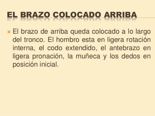 Método o Terapia Vojta