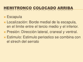 Método o Terapia Vojta