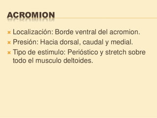 Método o Terapia Vojta