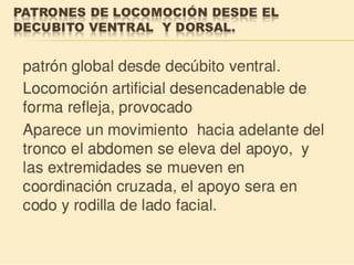 Método o Terapia Vojta