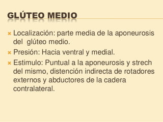 Método o Terapia Vojta