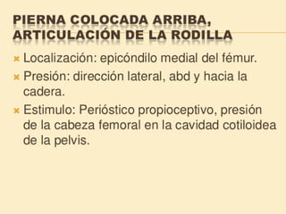 Método o Terapia Vojta