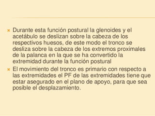 Método o Terapia Vojta