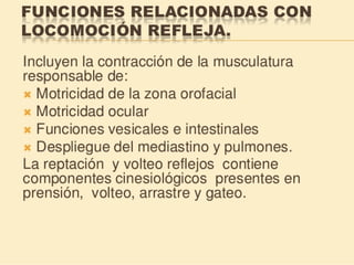 Método o Terapia Vojta