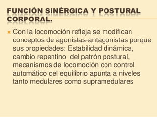 Método o Terapia Vojta