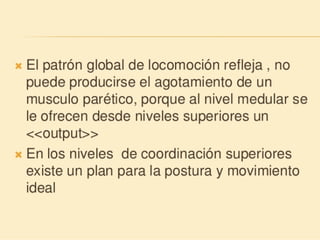 Método o Terapia Vojta