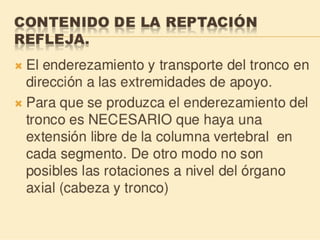 Método o Terapia Vojta