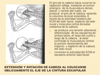 Método o Terapia Vojta