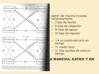 Método o Terapia Vojta