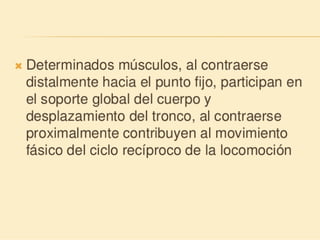 Método o Terapia Vojta