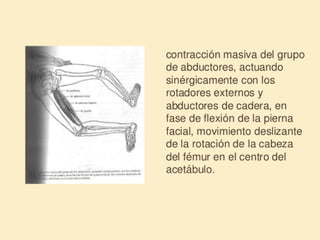 Método o Terapia Vojta