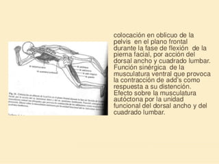 Método o Terapia Vojta