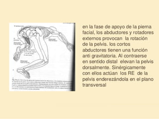 Método o Terapia Vojta