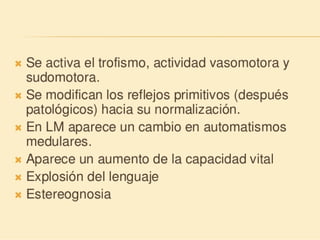 Método o Terapia Vojta