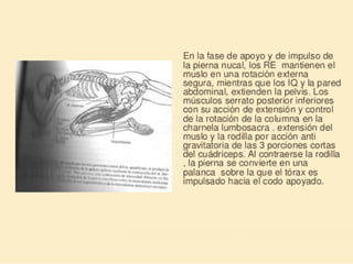 Método o Terapia Vojta