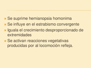 Método o Terapia Vojta