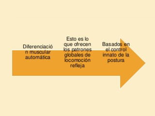 Método o Terapia Vojta