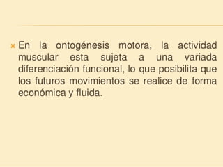 Método o Terapia Vojta