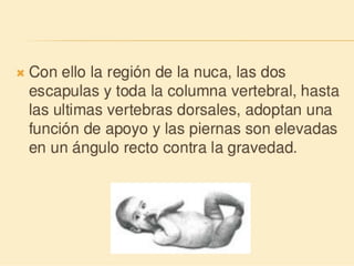 Método o Terapia Vojta