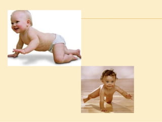 Método o Terapia Vojta