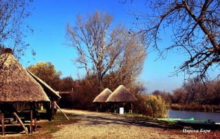 Царска Бара
 