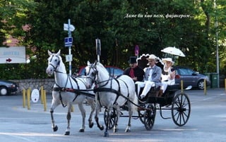 Даме би као нега, фијакером…
 