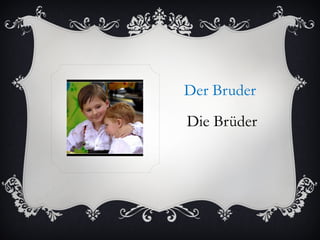 Der Bruder
Die Brüder
 