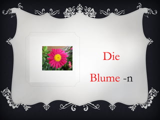 Die
Blume -n
 