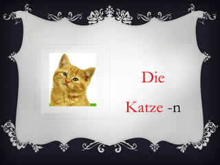Die
Katze -n
 