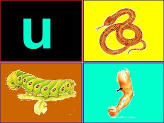 u
 