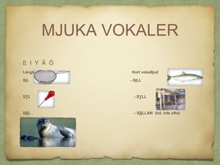 MJUKA VOKALER
E I Y Ä Ö
Långt vokalljud Kort vokalljud
SIL - SILL
SYL - SYLL
SÄL - SÄLLAN (tid, inte ofta)
 