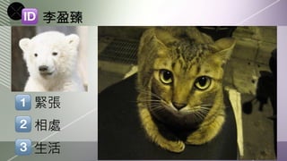 李盈臻




緊張
相處
生活
 