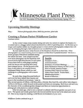 Spring 1991 Minnesota Plant Press