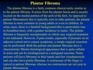 Plantar Fibroma
    The plantar fibroma is a fairly common clinical entity similar to
to the palmar fibroma. It arises from the plantar fascia and is usually
located on the medial portion of the arch of the foot. As opposed to
palmar fibromatosis that is typically seen in older patients, the plantar
fibroma is more common in young adults or even in children. In
some cases, there is a familial background (this is particularly true
in Scandinavians), with a greater incidence in males. The plantar
fibroma is frequently asymptomatic in which case surgical treatment
is not indicated. However, if pain results, especially if pressure on an
adjacent central nerve causes symptoms, a simple surgical resection
can be performed. Both the palmar and plantar fibromas have a
characteristic fibrotic histological appearance that is quite cellular
in areas and can be misdiagnosed as a malignant sarcoma. Some
patients will have fibromas in their hands and feet simultaneously
and can also have penile fibromas. A contracture of the finger is
typical in palmar fibromas whereas toe contractures are not seen in
plantar fibromatosis.
 