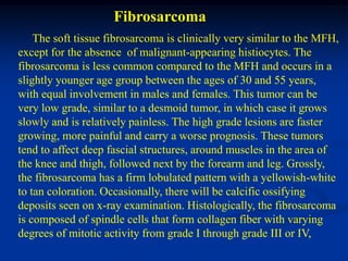 Fibrosarcoma
    The soft tissue fibrosarcoma is clinically very similar to the MFH,
except for the absence of malignant-appearing histiocytes. The
fibrosarcoma is less common compared to the MFH and occurs in a
slightly younger age group between the ages of 30 and 55 years,
with equal involvement in males and females. This tumor can be
very low grade, similar to a desmoid tumor, in which case it grows
slowly and is relatively painless. The high grade lesions are faster
growing, more painful and carry a worse prognosis. These tumors
tend to affect deep fascial structures, around muscles in the area of
the knee and thigh, followed next by the forearm and leg. Grossly,
the fibrosarcoma has a firm lobulated pattern with a yellowish-white
to tan coloration. Occasionally, there will be calcific ossifying
deposits seen on x-ray examination. Histologically, the fibrosarcoma
is composed of spindle cells that form collagen fiber with varying
degrees of mitotic activity from grade I through grade III or IV,
 