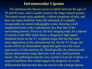 Intramuscular Lipoma
    The intramuscular lipoma occurs in adults between the ages of
30 and 60 years, and is usually found in the larger muscle groups.
The tumor occurs quite gradually, without symptoms of pain, and
does not cause disability when left untreated. It is usually
recognizable on routine radiographic exam, showing a well-
marginated lesion with a radiodensity less than that of the
surrounding muscle. However, the best imaging study for a lipoma
of muscle is the MRI which shows a diagnostic high signal,
lobulated lesion on the T-1 weighted image that has the exact
same appearance as the subcutaneous fat. On the T-2 image, the
lesion will be an intermediate signal and again have the exact
appearance of subcutaneous fat. Histologically, the intramuscular
lipoma demonstrates large lipocytes with very small pyknotic
nuclei. The pathologist must be very careful to look for evidence of
atypical lipoblasts that would suggest the diagnosis of a well-
differentiated liposarcoma that can coexist with a benign lipoma.
 