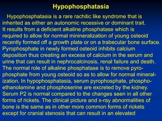 Hypophosphatasia
   Hypophosphatasia is a rare rachitic like syndrome that is
inherited as either an autonomic recessive or dominant trait.
It results from a deficient alkaline phosphatase which is
required to allow for normal minineralization of young osteoid
recently formed off a growth plate or on a trabecular bone surface.
Pyrophosphate in newly formed osteoid inhibits calcium
deposition thus creating an excess of calcium in the serum and
urine that can result in nephrocalcinosis, renal failure and death.
The normal role of alkaline phosphatase is to remove pyro-
phosphate from young osteoid so as to allow for normal mineral-
ization. In hypophosphatasia, serum pyrophosphate, phospho-
ethanolamine and phosphoserine are excreted by the kidney.
Serum P2 is normal compared to the changes seen in all other
forms of rickets. The clinical picture and x-ray abnormalities of
bone is the same as in other more common forms of rickets
except for cranial stenosis that can result in an elevated
 