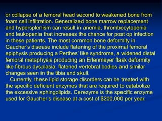 or collapse of a femoral head second to weakened bone from
foam cell infiltration. Generalized bone marrow replacement
and hypersplenism can result in anemia, thrombocytopenia
and leukopenia that increases the chance for post op infection
in these patients. The most common bone deformity in
Gaucher’s disease include flatening of the proximal femoral
epiphysis producing a Perthes’ like syndrome, a widened distal
femoral metaphysis producing an Erlenmeyer flask deformity
like fibrous dysplasia, flatened vertebral bodies and similar
changes seen in the tibia and skull.
   Currently, these lipid storage disorders can be treated with
the specific deficient enzymes that are required to catabolize
the excessive sphingolipids. Cerezyme is the specific enzyme
used for Gaucher’s disease at a cost of $200,000 per year.
 