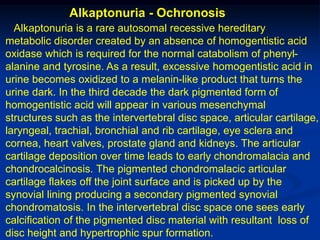 Alkaptonuria - Ochronosis
  Alkaptonuria is a rare autosomal recessive hereditary
metabolic disorder created by an absence of homogentistic acid
oxidase which is required for the normal catabolism of phenyl-
alanine and tyrosine. As a result, excessive homogentistic acid in
urine becomes oxidized to a melanin-like product that turns the
urine dark. In the third decade the dark pigmented form of
homogentistic acid will appear in various mesenchymal
structures such as the intervertebral disc space, articular cartilage,
laryngeal, trachial, bronchial and rib cartilage, eye sclera and
cornea, heart valves, prostate gland and kidneys. The articular
cartilage deposition over time leads to early chondromalacia and
chondrocalcinosis. The pigmented chondromalacic articular
cartilage flakes off the joint surface and is picked up by the
synovial lining producing a secondary pigmented synovial
chondromatosis. In the intervertebral disc space one sees early
calcification of the pigmented disc material with resultant loss of
disc height and hypertrophic spur formation.
 