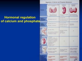Hormonal regulation
of calcium and phosphate
 