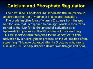 Calcium and Phosphate Regulation
  The next slide is another Ciba schematic that helps one to
understand the role of vitamin D in calcium regulation.
  The crude inactive form of vitamin D comes from the gut
and the skin that is exposed to sun light which is then trans-
ported to the liver for its first phase of activation by a
hydroxylation process at the 25 position of the sterol ring.
This still inactive form then goes to the kidney for its finial
activation by a hydroxylation process on the 25 position of the
sterol ring. This now activated vitamin D acts as a hormone
similar to PTH to help absorb calcium from the gut and bone.
 