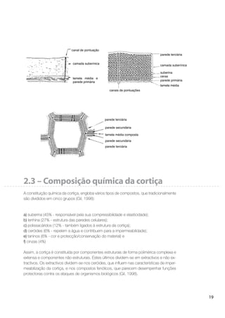 19
2.3 – Composição química da cortiça
A constituição química da cortiça, engloba vários tipos de compostos, que tradicionalmente
são divididos em cinco grupos (Gil, 1998):
a) suberina (45% - responsável pela sua compressibilidade e elasticidade);
b) lenhina (27% - estrutura das paredes celulares);
c) polissacáridos (12% - também ligados à estrutura da cortiça);
d) ceróides (6% - repelem a água e contribuem para a impermeabilidade);
e) taninos (6% - cor e protecção/conservação do material) e
f) cinzas (4%)
Assim, a cortiça é constituída por componentes estruturais de forma polimérica complexa e
extensa e componentes não estruturais. Estes últimos dividem-se em extractivos e não ex-
tractivos. Os extractivos dividem-se nos ceróides, que inﬂuem nas características de imper-
meabilização da cortiça, e nos compostos fenólicos, que parecem desempenhar funções
protectoras contra os ataques de organismos biológicos (Gil, 1998).
canal de pontuação
camada suberínica
lamela média e
parede primária
parede terciária
camada suberínica
suberina
ceras
parede primária
lamela média
canais de pontuações
parede terciária
parede secundária
lamela média composta
parede terciária
parede secundária
 