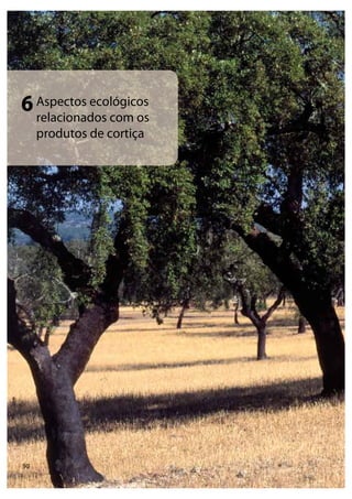 50
Aspectos ecológicos
relacionados com os
produtos de cortiça
6
 