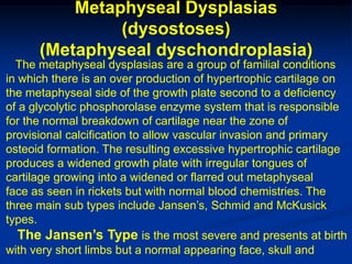 Metaphyseal Dysplasias
               (dysostoses)
      (Metaphyseal dyschondroplasia)
  The metaphyseal dysplasias are a group of familial conditions
in which there is an over production of hypertrophic cartilage on
the metaphyseal side of the growth plate second to a deficiency
of a glycolytic phosphorolase enzyme system that is responsible
for the normal breakdown of cartilage near the zone of
provisional calcification to allow vascular invasion and primary
osteoid formation. The resulting excessive hypertrophic cartilage
produces a widened growth plate with irregular tongues of
cartilage growing into a widened or flarred out metaphyseal
face as seen in rickets but with normal blood chemistries. The
three main sub types include Jansen’s, Schmid and McKusick
types.
   The Jansen’s Type is the most severe and presents at birth
with very short limbs but a normal appearing face, skull and
 