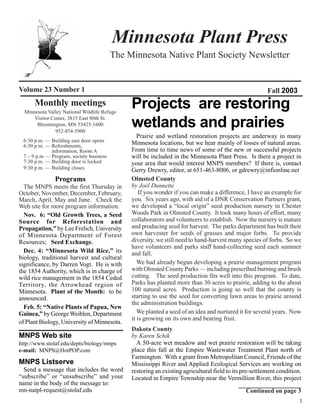 Minnesota Plant Press
                                         The Minnesota Native Plant Society Newsletter


Volume 23 Number 1                                                                                      Fall 2003
      Monthly meetings
  Minnesota Valley National Wildlife Refuge
                                              Projects are restoring
      Visitor Center, 3815 East 80th St.
       Bloomington, MN 55425-1600
                952-854-5900
                                              wetlands and prairies
                                                 Prairie and wetland restoration projects are underway in many
 6:30 p.m. — Building east door opens         Minnesota locations, but we hear mainly of losses of natural areas.
 6:30 p.m. — Refreshments,
             information, Room A              From time to time news of some of the new or successful projects
 7 – 9 p.m — Program, society business        will be included in the Minnesota Plant Press. Is there a project in
 7:30 p.m. — Building door is locked          your area that would interest MNPS members? If there is, contact
 9:30 p.m. — Building closes                  Gerry Drewry, editor, at 651-463-8006, or gdrewry@infionline.net
               Programs                       Olmsted County
  The MNPS meets the first Thursday in        by Joel Dunnette
October, November, December, February,            If you wonder if you can make a difference, I have an example for
March, April, May and June. Check the         you. Six years ago, with aid of a DNR Conservation Partners grant,
Web site for more program information.        we developed a “local origin” seed production nursery in Chester
  Nov. 6: “Old Growth Trees, a Seed           Woods Park in Olmsted County. It took many hours of effort, many
Source for Reforestation and                  collaborators and volunteers to establish. Now the nursery is mature
Propagation,” by Lee Frelich, University      and producing seed for harvest. The parks department has built their
of Minnesota Department of Forest             own harvester for seeds of grasses and major forbs. To provide
Resources; Seed Exchange.                     diversity, we still need to hand-harvest many species of forbs. So we
                                              have volunteers and parks staff hand-collecting seed each summer
  Dec. 4: “Minnesota Wild Rice,” its          and fall.
biology, traditional harvest and cultural
significance, by Darren Vogt. He is with         We had already begun developing a prairie management program
the 1854 Authority, which is in charge of     with Olmsted County Parks — including prescribed burning and brush
wild rice management in the 1854 Ceded        cutting. The seed production fits well into this program. To date,
Territory, the Arrowhead region of            Parks has planted more than 30 acres to prairie, adding to the about
Minnesota. Plant of the Month: to be          100 natural acres. Production is going so well that the county is
announced.                                    starting to use the seed for converting lawn areas to prairie around
                                              the administration buildings.
  Feb. 5: “Native Plants of Papua, New
Guinea,” by George Weiblen, Department           We planted a seed of an idea and nurtured it for several years. Now
                                              it is growing on its own and bearing fruit.
of Plant Biology, University of Minnesota.
                                              Dakota County
MNPS Web site                                 by Karen Schik
http://www.stolaf.edu/depts/biology/mnps        A 50-acre wet meadow and wet prairie restoration will be taking
e-mail: MNPS@HotPOP.com                       place this fall at the Empire Wastewater Treatment Plant north of
                                              Farmington. With a grant from Metropolitan Council, Friends of the
MNPS Listserve                                Mississippi River and Applied Ecological Services are working on
  Send a message that includes the word       restoring an existing agricultural field to its pre-settlement condition.
“subscribe” or “unsubscribe” and your         Located in Empire Township near the Vermillion River, this project
name in the body of the message to:
mn-natpl-request@stolaf.edu                                                                    Continued on page 3
                                                                                                                      1
 